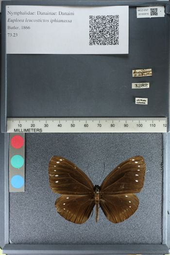 Media type: image;   Entomology 160816